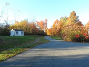 View of our driveway in fall foliage